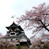 天気が良くなかったが、桜と一緒に写しとめてきた。