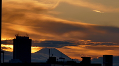 富士山頂が見えた