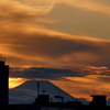 富士山頂が見えた