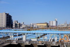 荒川自然公園の本業務の水槽群と愛染川通りの京成線
