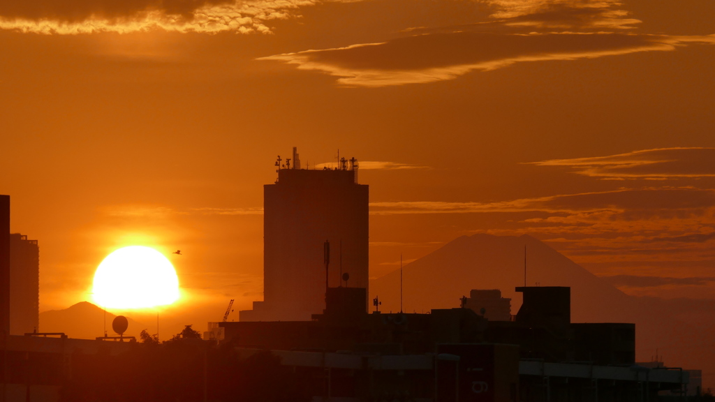 丹沢山系に入る夕日