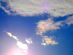 荒川土手上のの夕日上の大きな彩雲