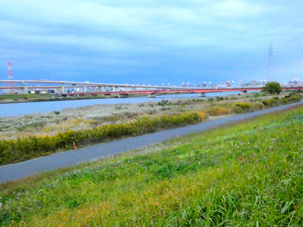 荒川土手の西新井橋の風景