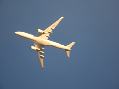 荒川上空の飛行機