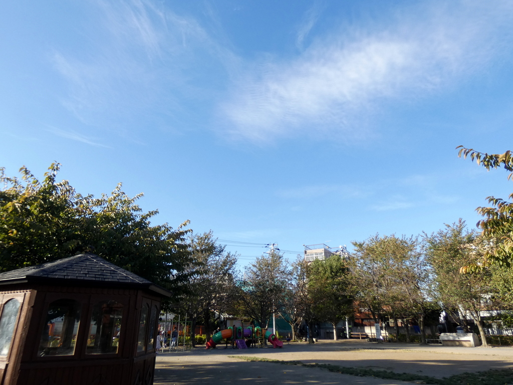 ソメイヨシノの染井公園の空
