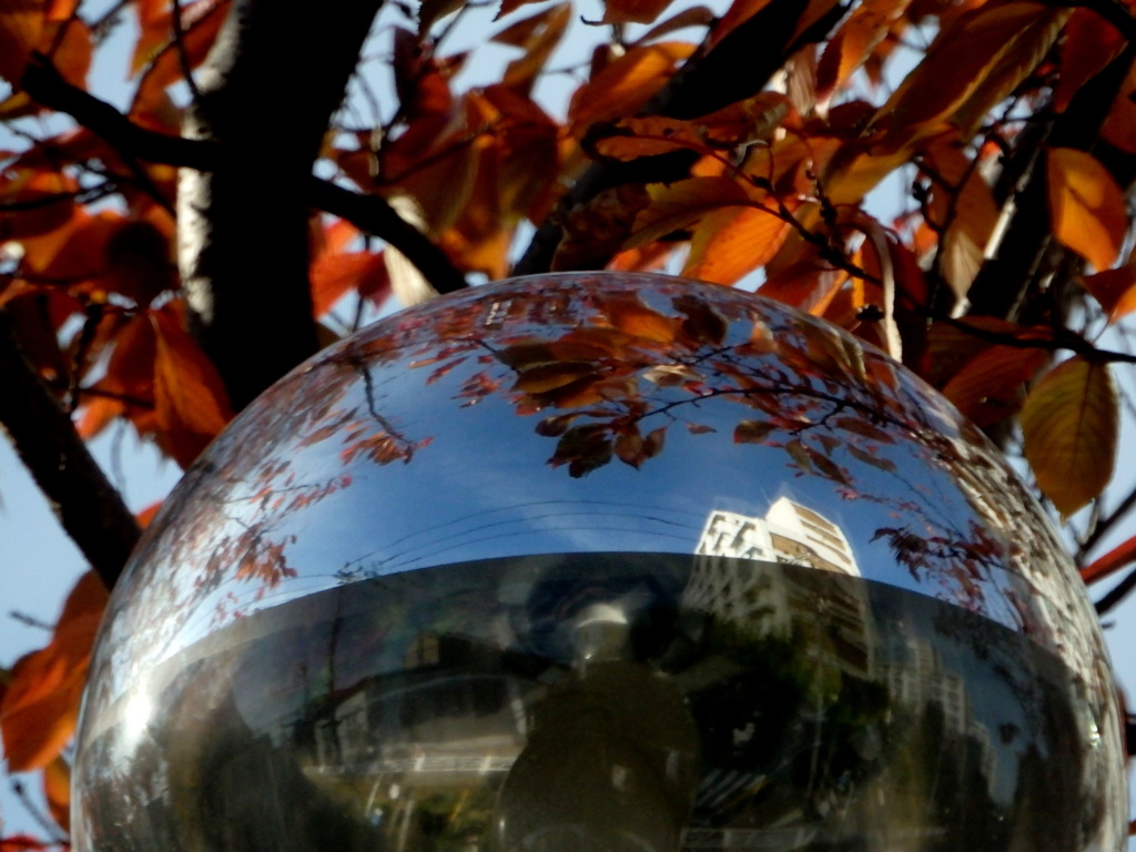 秋のボール反射映像