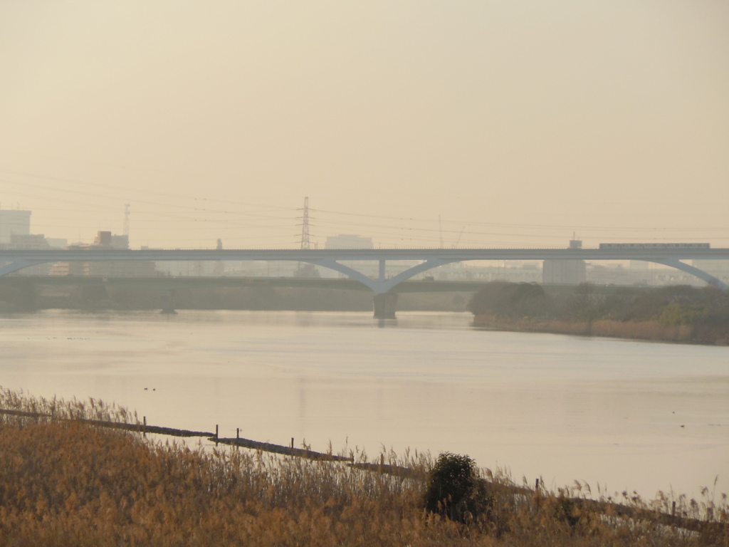 黄靄の荒川