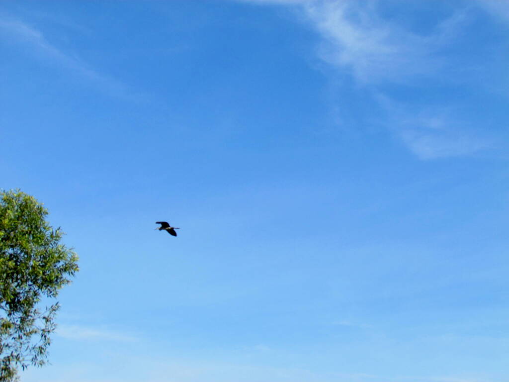 霞ヶ浦の空
