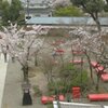犬山城の天主からの前庭の眺め