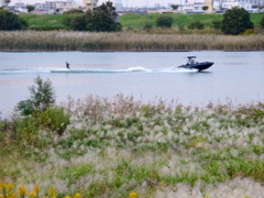 いつも出くわす撮らざるを得ない
