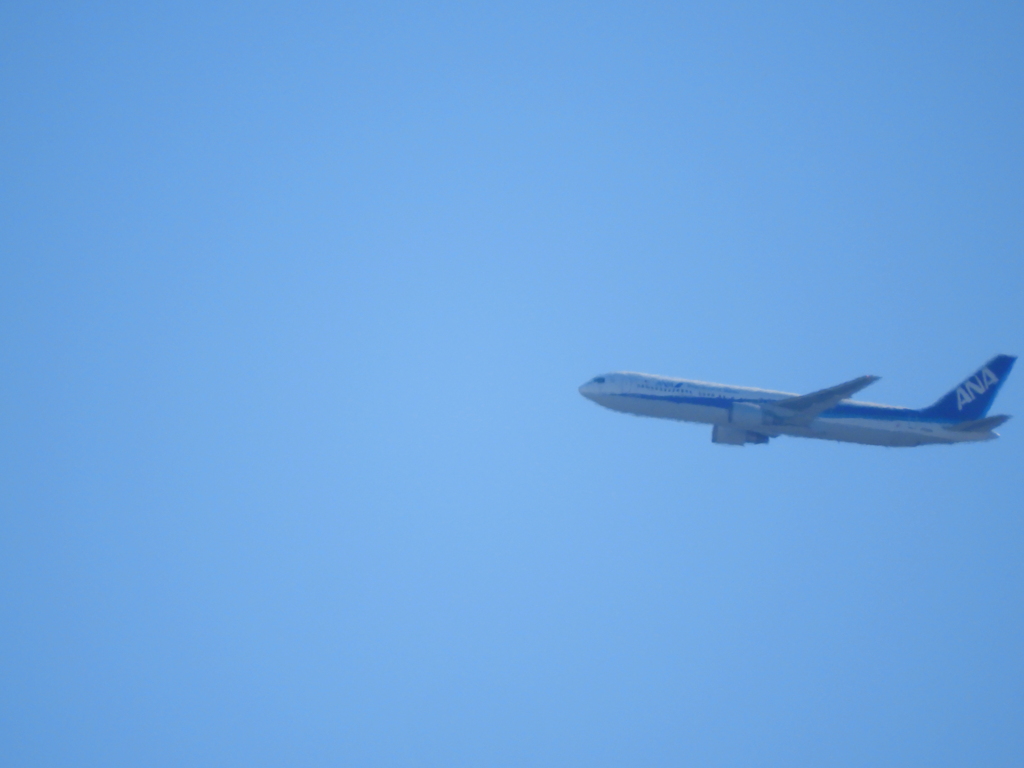 金八土手から青空にANA機