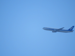 金八土手から青空にANA機