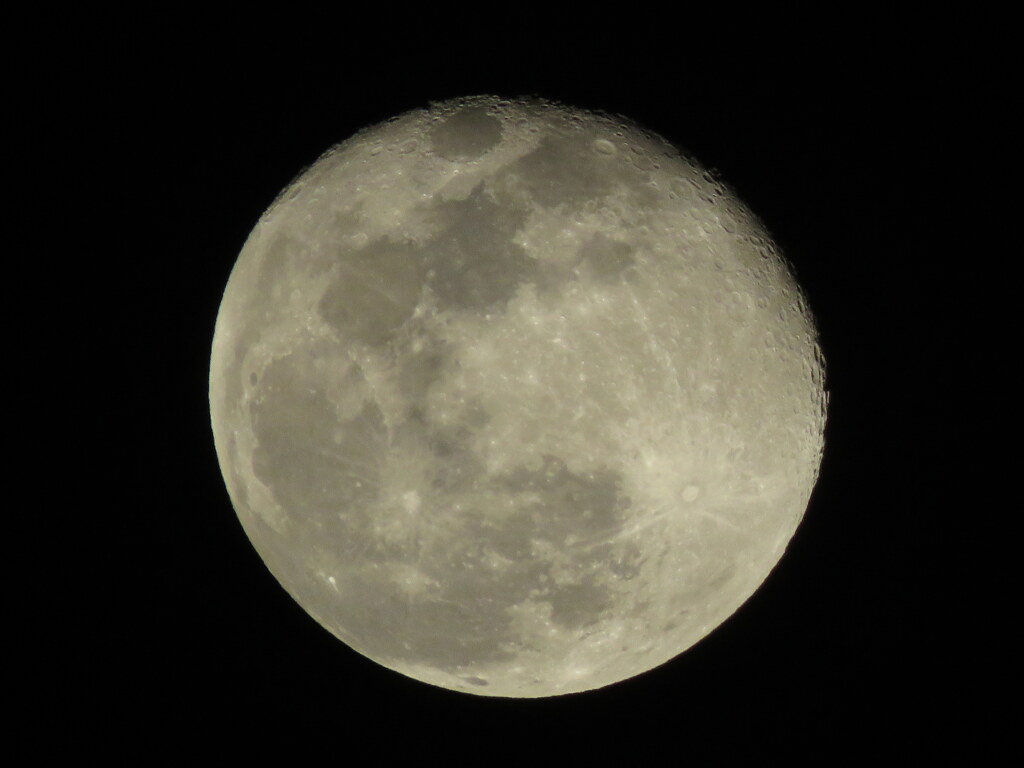月齢15.6