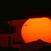 荒川高速下の傘山の夕日
