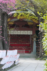 素戔嗚神社の子供桃祭り会場