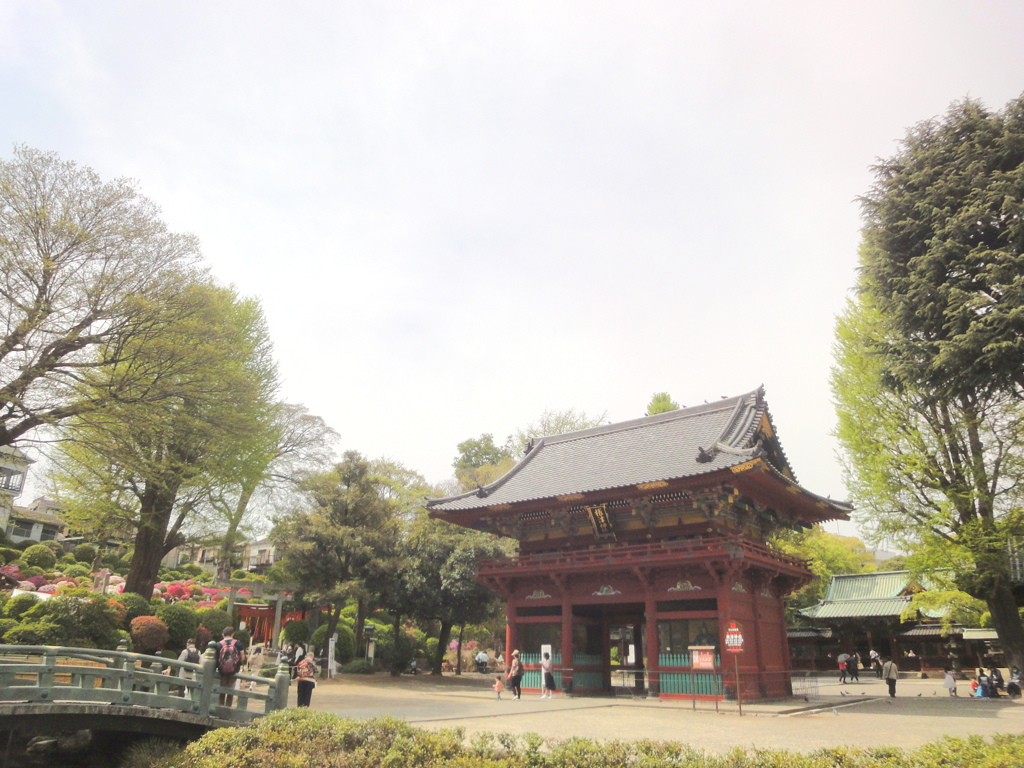 根津神社の神橋と楼門本殿
