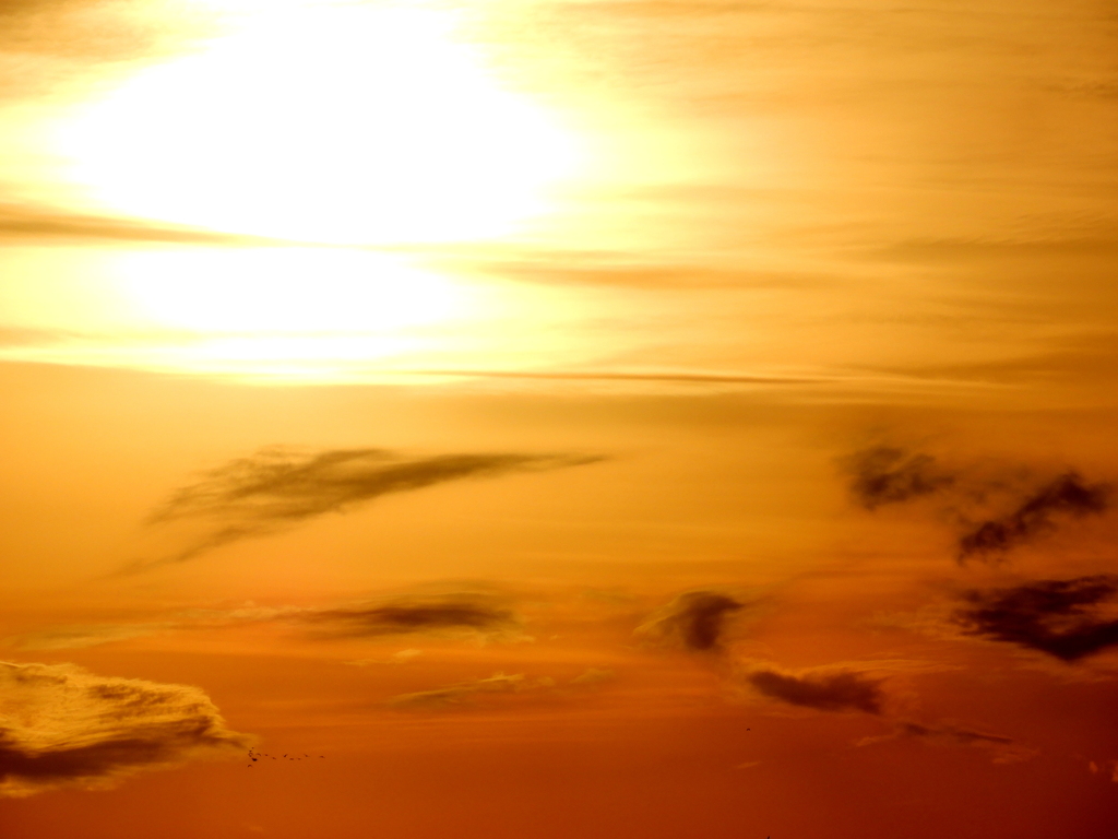 千住新橋から雲被る夕日