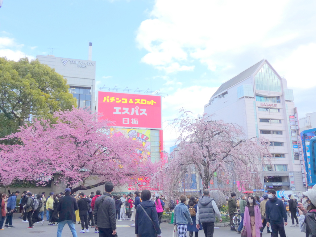 上野恩賜公園入口の春の賑わい