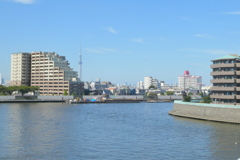 葛飾区の新中川の風景