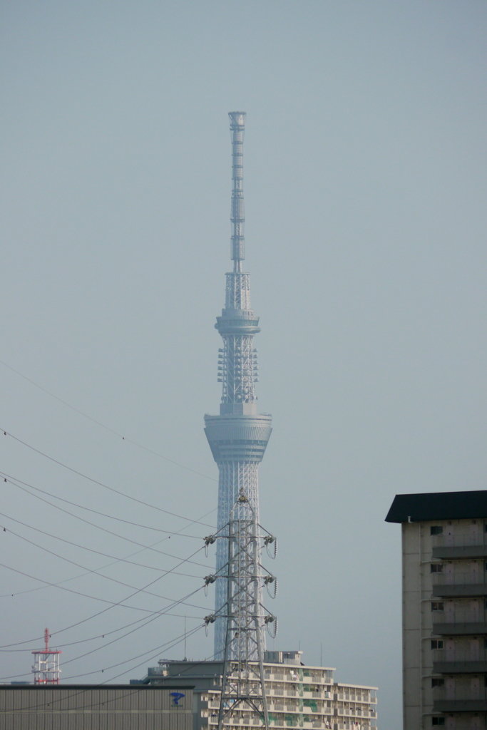 東京スカイツリーと鉄塔