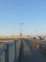西新井橋のふうけいこのまま北へ安行街道植木の町