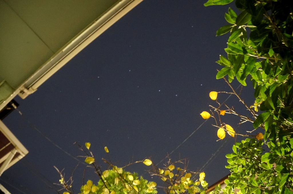玄関の夜空に北斗七星