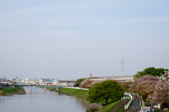 都市農業公園の新柴川