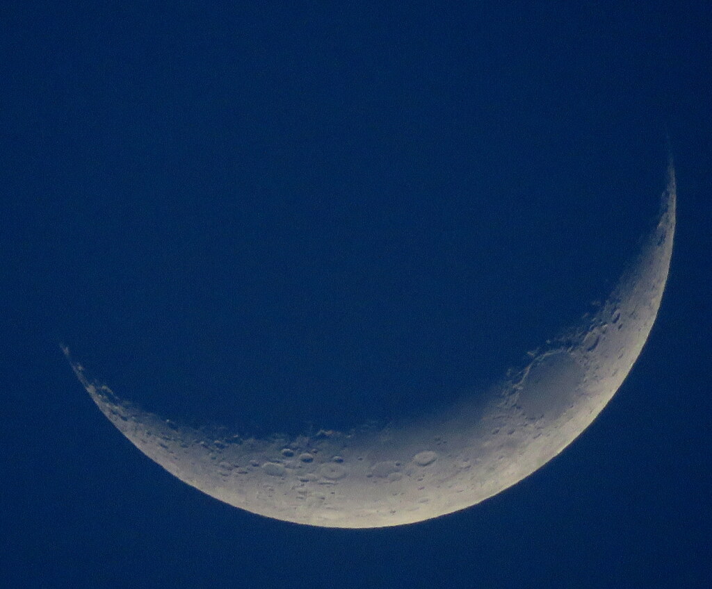夕暮れの月齢3.4