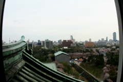 名古屋城の天主からの眺め７