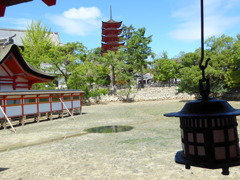 厳島神社の水鏡と五重塔