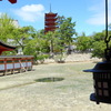 厳島神社の水鏡と五重塔