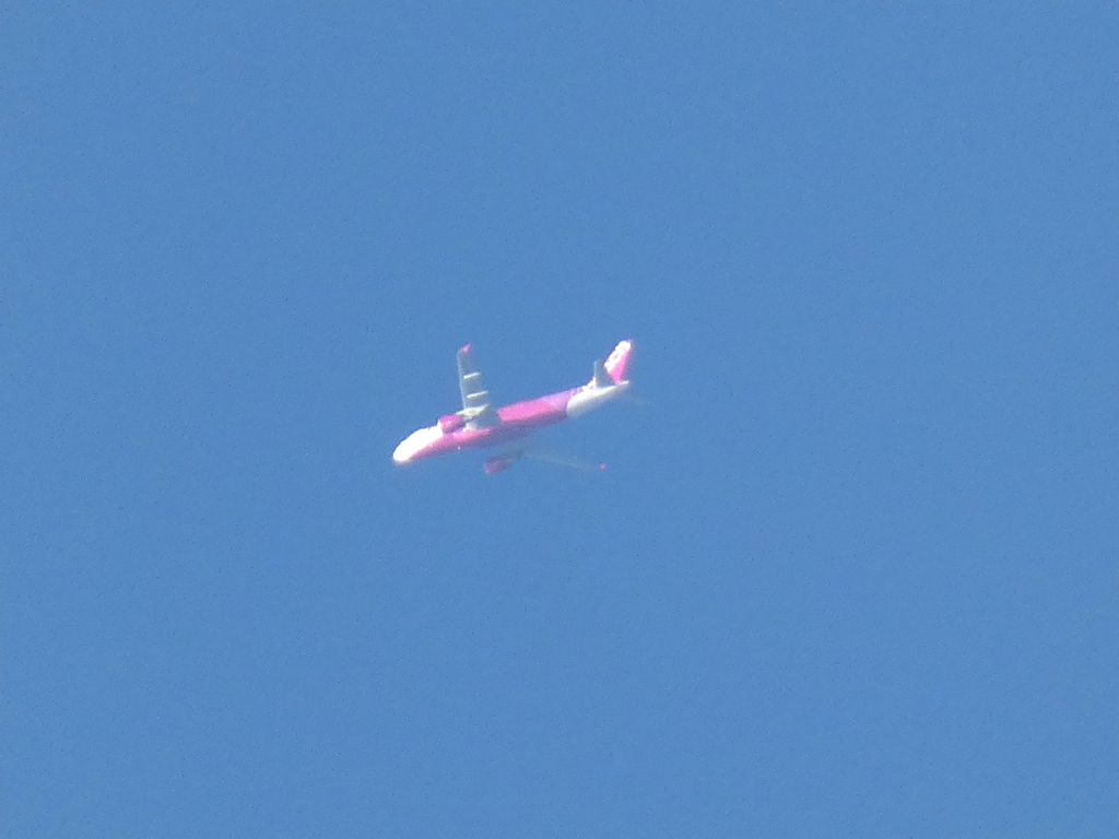 師走のカラフルな飛行機