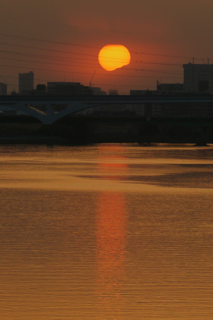 秩父山系の雁腹摺山の左裾野に落ちる夕日と荒川の赤いサンロード