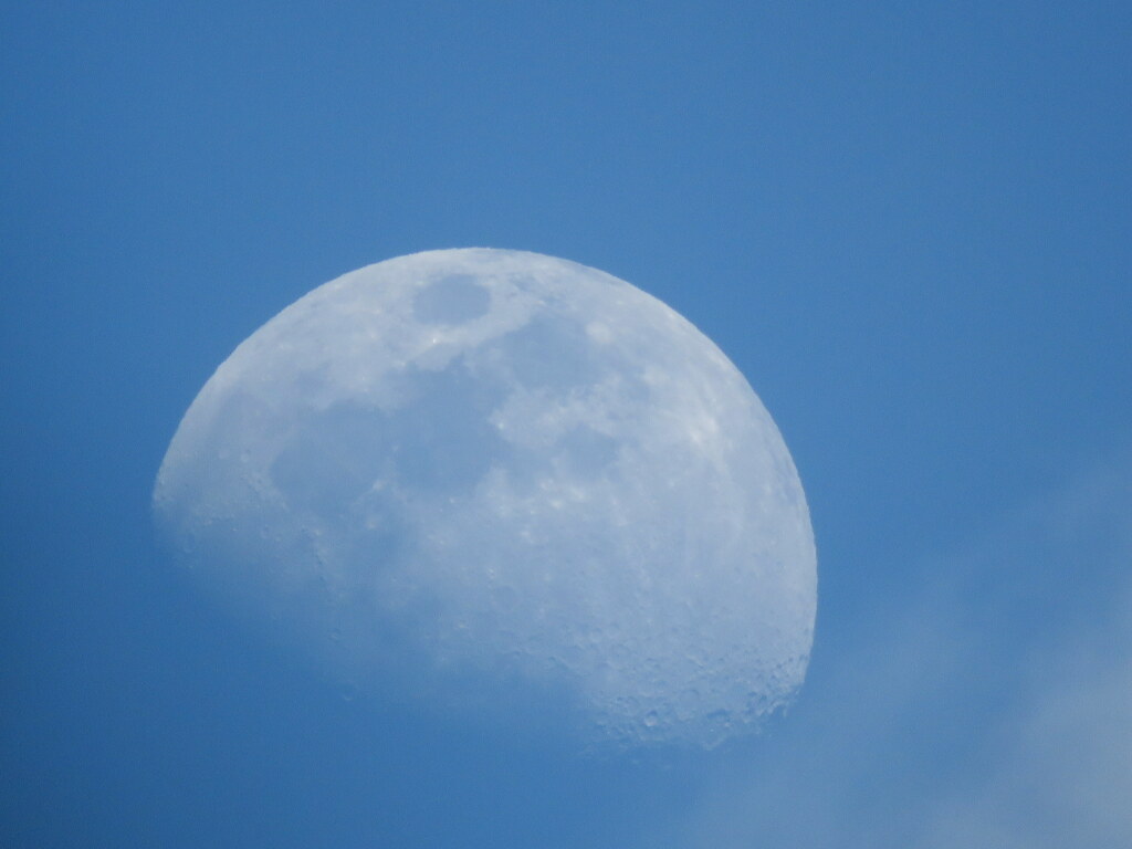 時どき雲被る月齢8.7