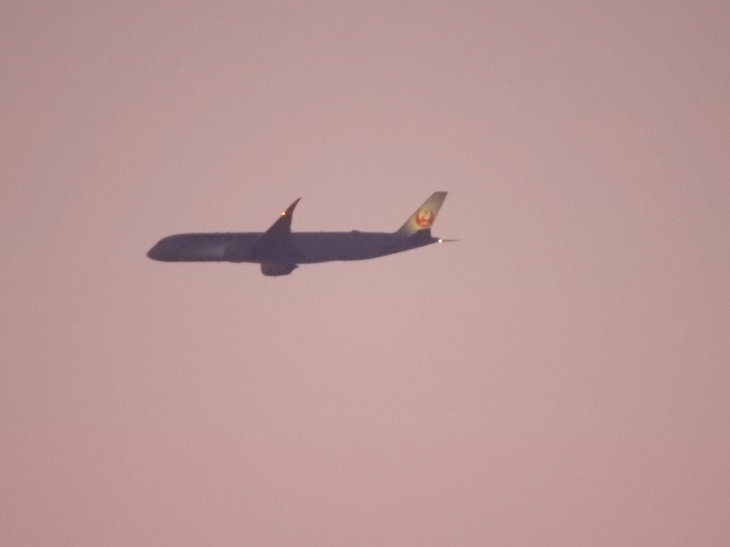 夕方の荒川土手から南に向かうJAL機