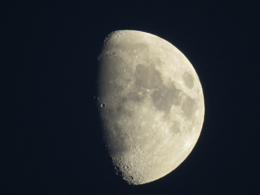 イエローMOON 8,8