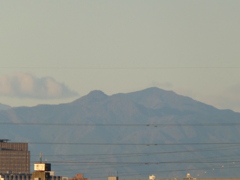 荒川土手から鶏冠山と大岳山
