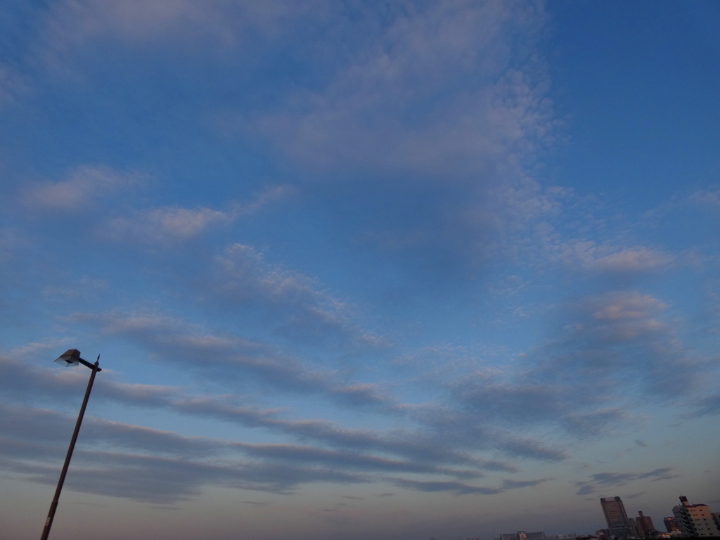夕日と反対の荒川上の空の雲
