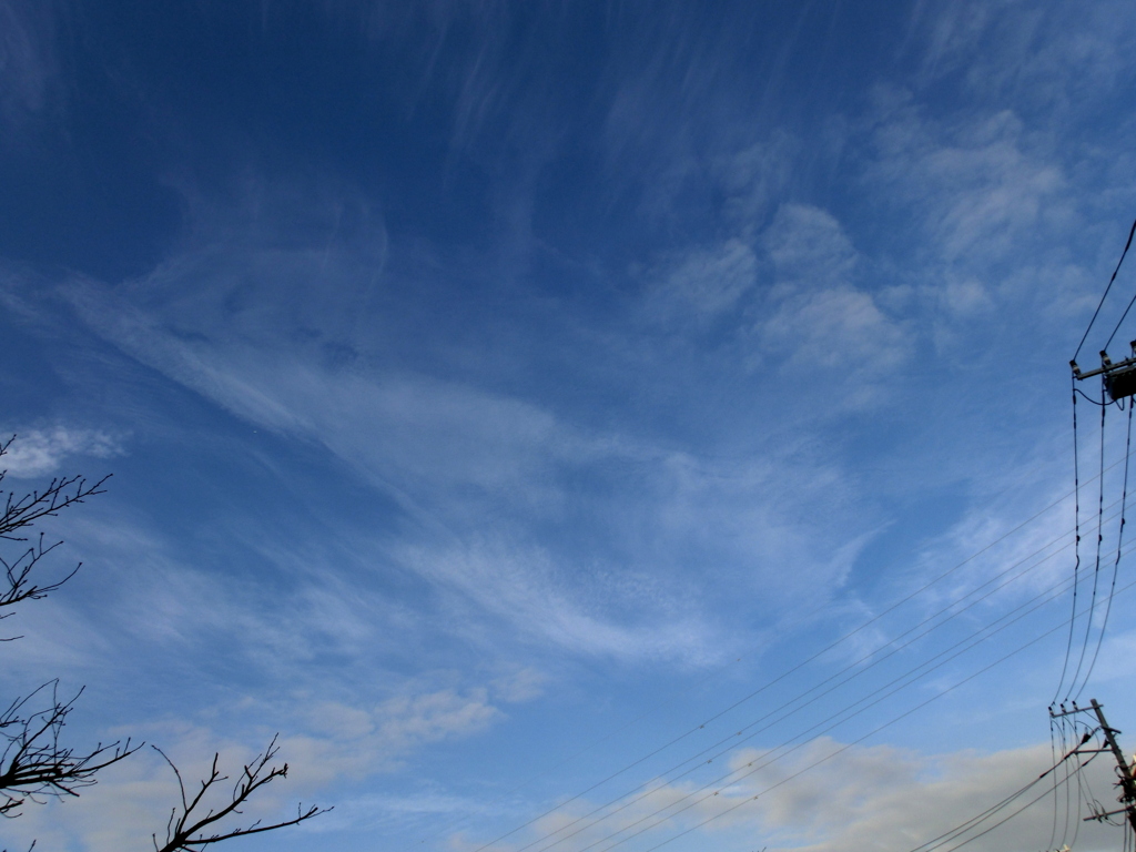 桜木土手から東の淡いきれいな雲