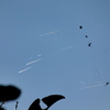 逆光の空と雲の巣