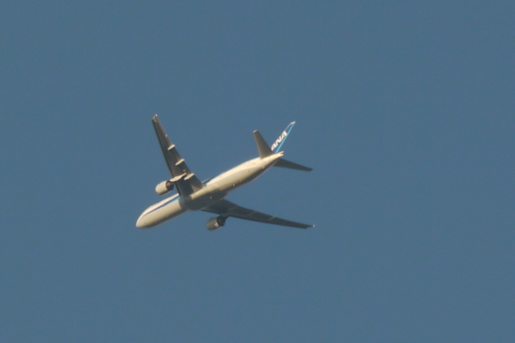 隅田川尾竹橋から上空のANA機