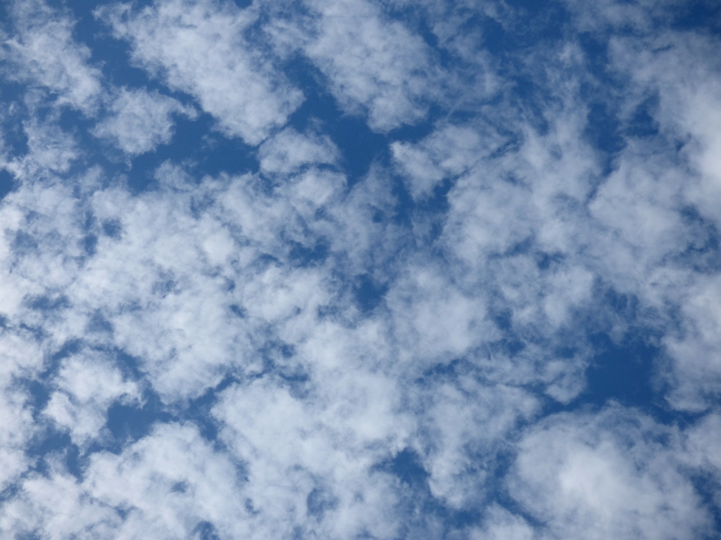 自宅から高積雲