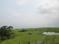 阿蘇の外輪の池塘なのかな風景３