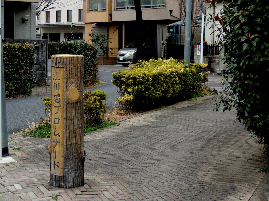 町屋の江川跡のカーブ