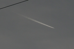 荒川をまたぐ電線の下のジェット雲