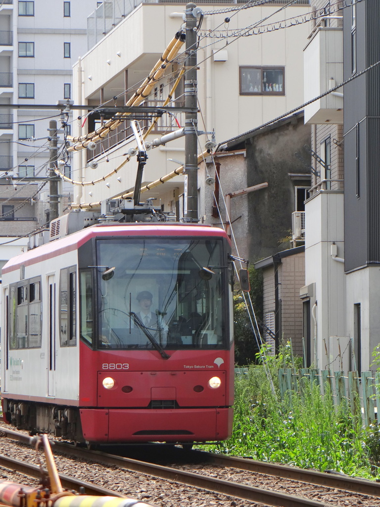 フジ色の都電荒川線