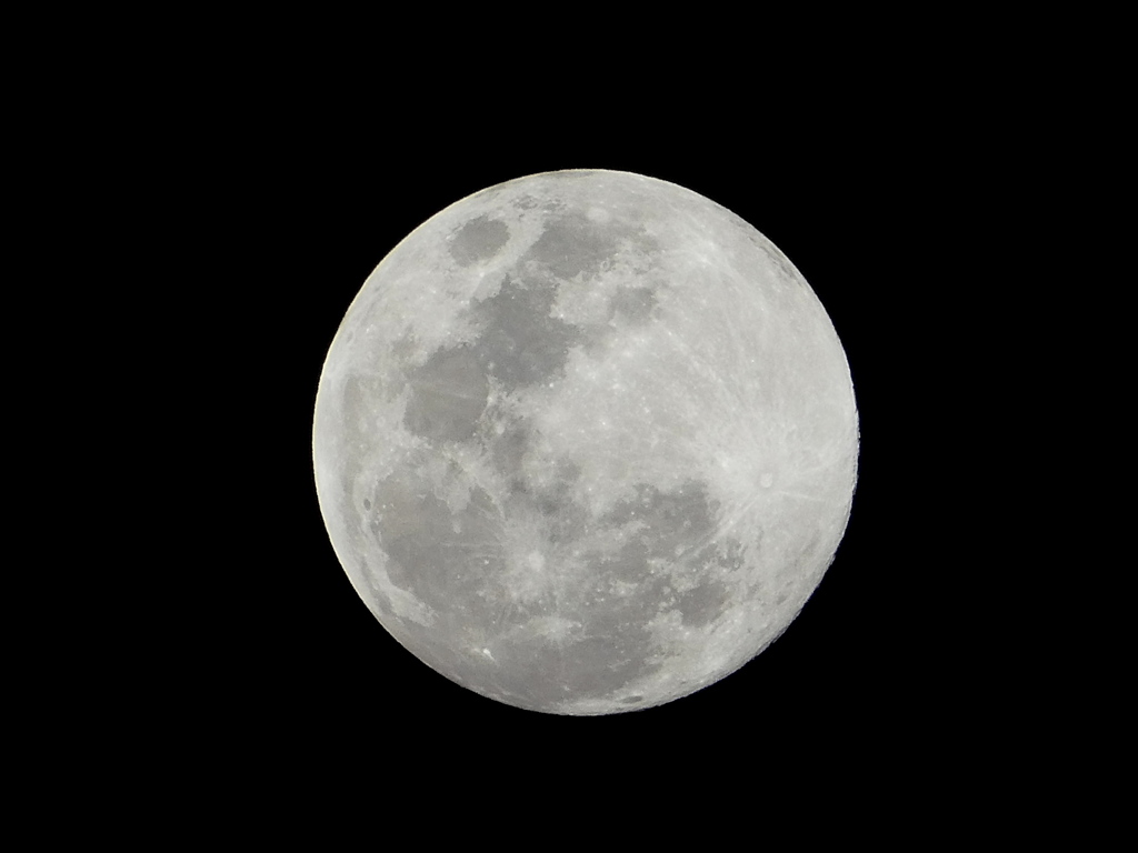 ４K小待月齢13.7