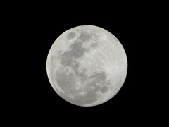 ４K小待月齢13.7