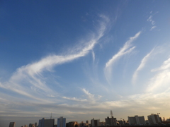 荒川の夕日の左の雲の風景