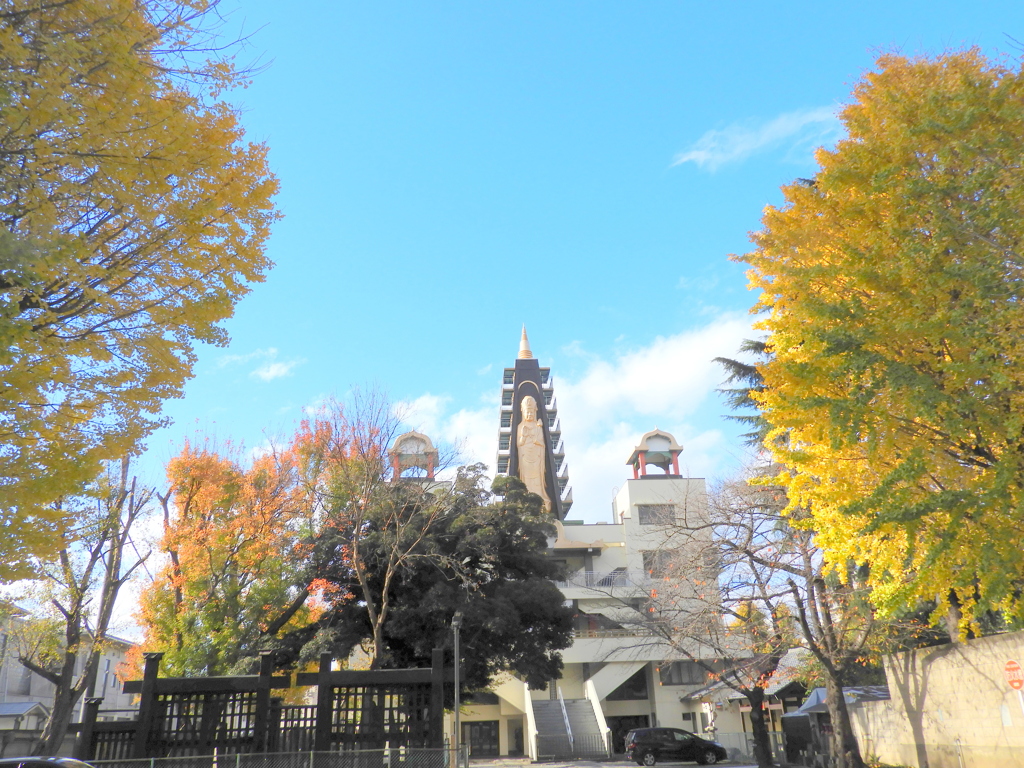 上野の寛永寺の黒門がある南千住円通寺とイチョウ